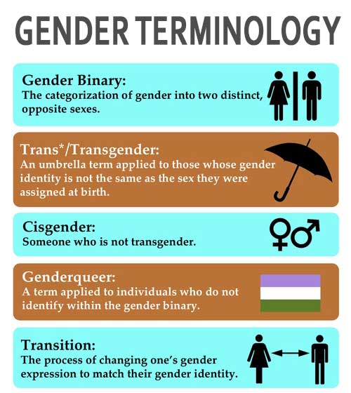 Gender Terminology