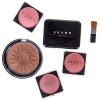 SHANY-Cameo-Cosmetics-Carry-All-Trunk-Makeup-Kit-with-Reusable-Aluminum-Case-Exclusive-Holiday-Gift-Set-0-1