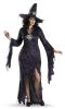 Disguise-Womens-My-Sorceress-Women-Plus-Size-Costume-0