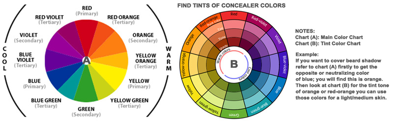 Color Wheel Makeup Chart for Crossdressers and Trans Women