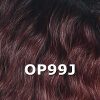 FreeTress Equal Lace Deep Wig Color Swatch OP99J