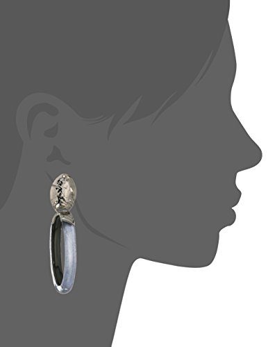 Alexis-Bittar-Fall-2017-Rocky-Metal-Oval-Lucite-Drop-Clip-On-Earrings-0-0